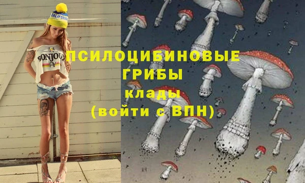 MDMA Алексин