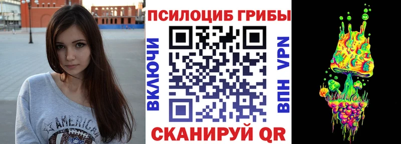 Псилоцибиновые грибы GOLDEN TEACHER  Ставрополь 